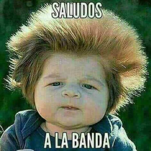 Meet your Posher, Victoria - Picture 1 of 1